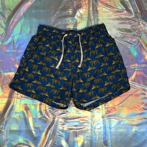 Tiger swim shorts